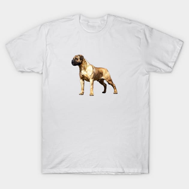 Bullmastiff T-Shirt by ElegantCat